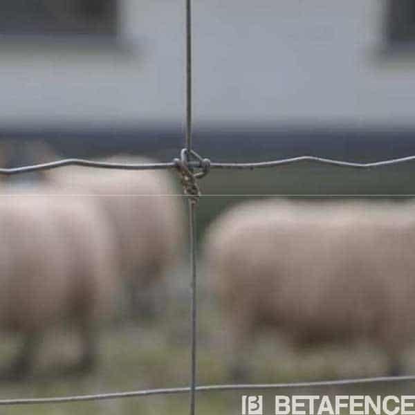 grillage ursus cyclone