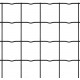 Maille Fortinet Protect