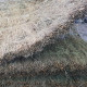 Clôture brande naturelle