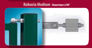 Gonds Robusta Medium