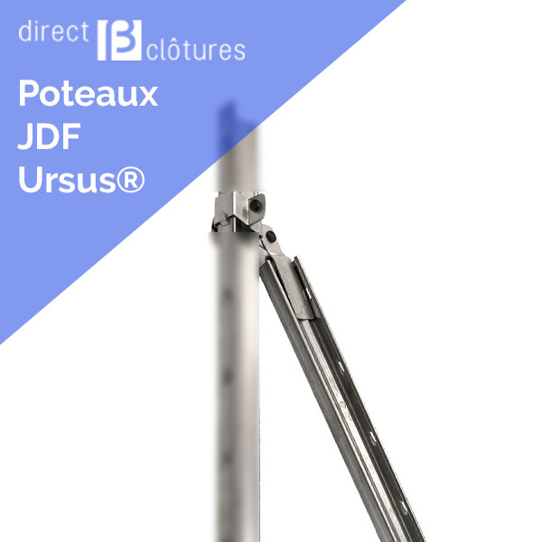 Poteaux Jambe de force Ursus