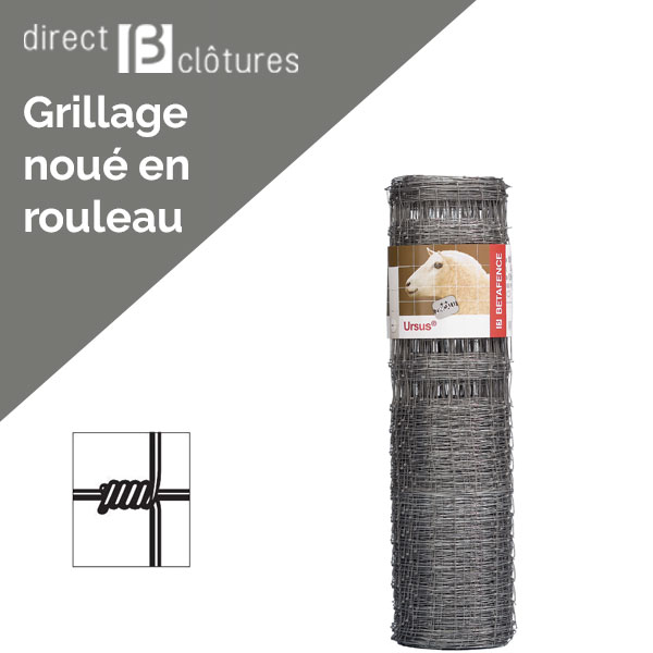 Rouleaux Ursus