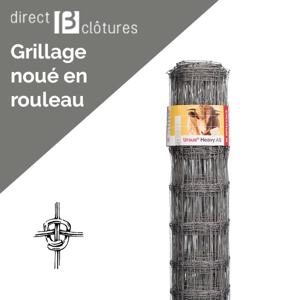 Ursus Lourd