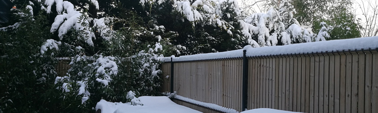 Les occultations bois Collfort sous la neige. Quel charme !