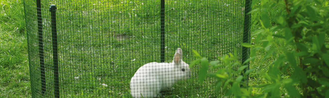 Grillage soudé à petite maille pour les animaux et le jardin