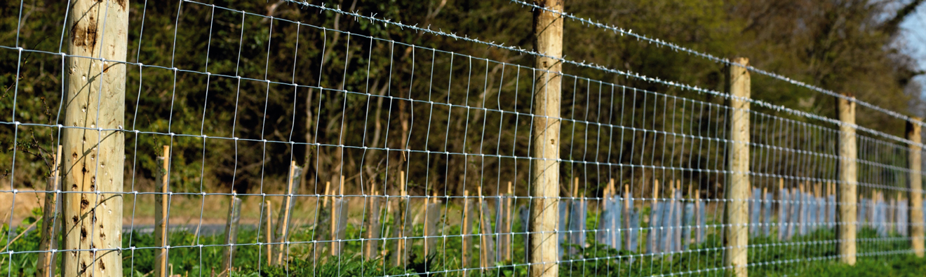 Grillage rouleau agricole galvanisé, Noué